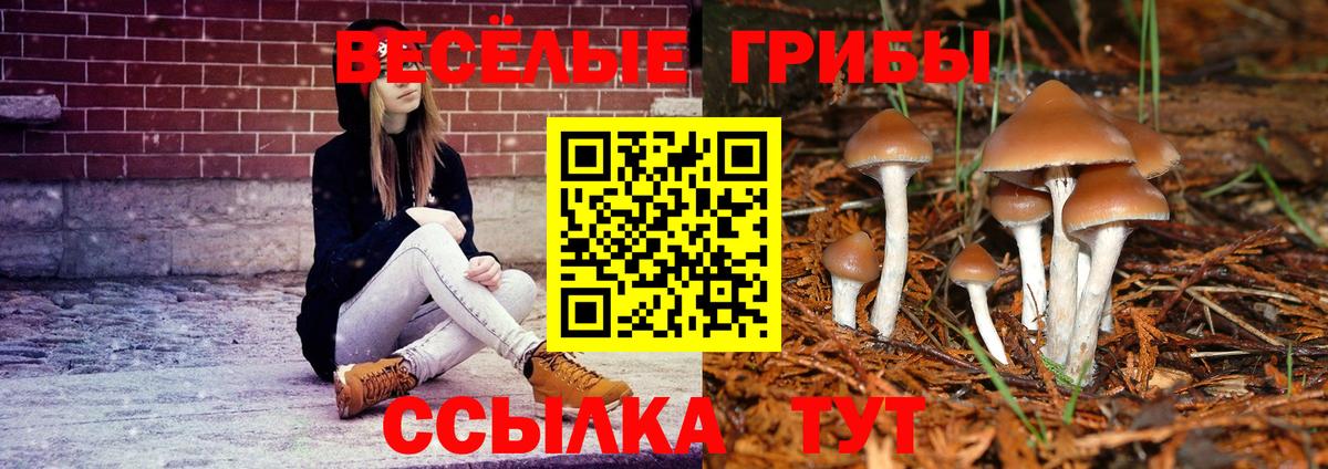 Муравленко  Псилоцибиновые грибы GOLDEN TEACHER  Псилоцибиновые грибы мицелий  Вход с VPN 
