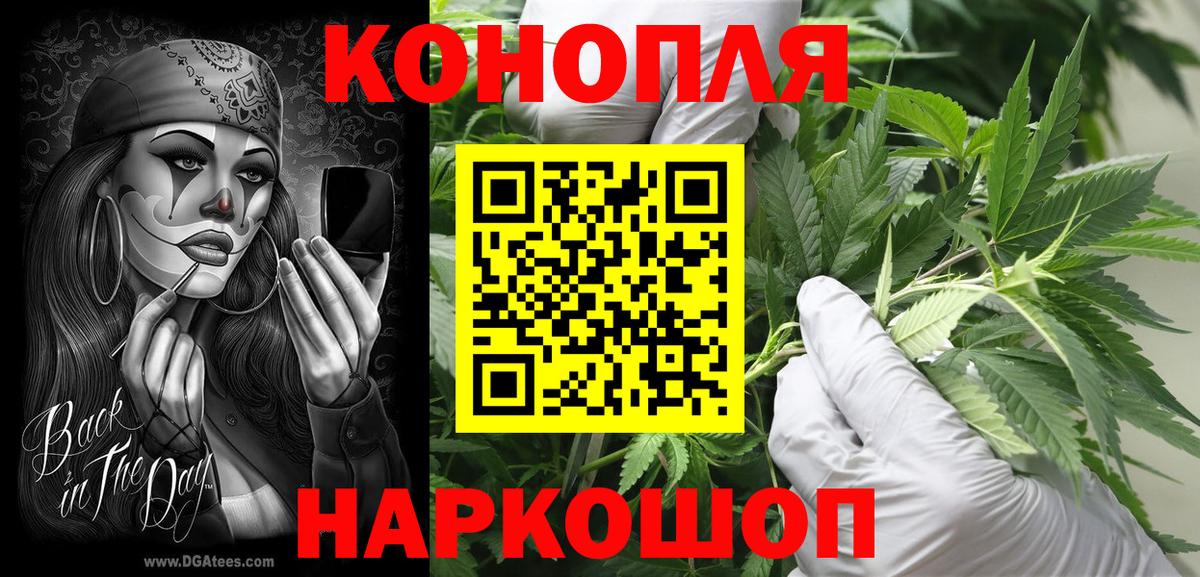 Бошки марихуана семена  Вход с VPN  Конопля план  Муравленко  Канабис конопля 